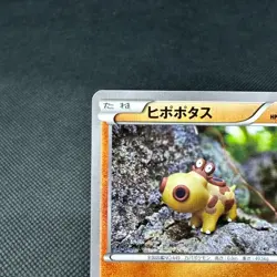 Hippopotas 159/XY-P Pokemon Center Promo HP90 Japanese Pokemon Card #7677 - Image 3