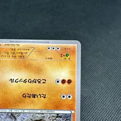 Hippopotas 159/XY-P Pokemon Center Promo HP90 Japanese Pokemon Card #7677 - Image 4
