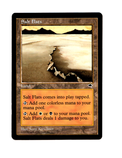 MTG Salt Flats NM- Tempest Magic the Gathering ~ Free Shipping ~ - Image 1