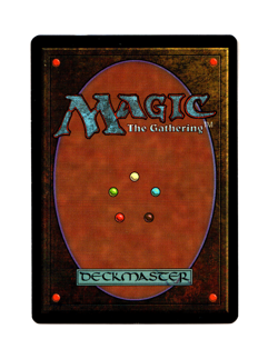 MTG Salt Flats NM- Tempest Magic the Gathering ~ Free Shipping ~ - Image 2