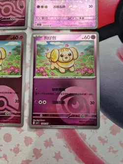 Pokemon S-Chinese CBB1C Fidough 1004/05 X4 Bundle Inc Masterball - Image 5