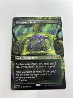 Lorwyn Eclipsed Lot, Formidable Speaker, Overgrown Tomb, Hallowed Fountain, MTG - Image 2
