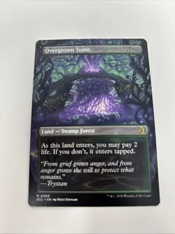 Lorwyn Eclipsed Lot, Formidable Speaker, Overgrown Tomb, Hallowed Fountain, MTG - Image 3