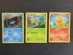Pokemon Collector Chest Card Lot of 3 Sheen Holo - Mudkip Torchic Treecko - Image 1