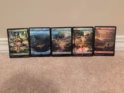 MTG - Chocobo Track Lands - Foil - Set of 5 (one of each basic) - NM 478-482 - Image 1