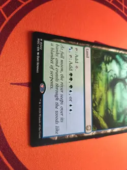 Flooded Grove (NM) MTG Discount: 5+ Magic Singles - Image 2