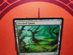 Flooded Grove (NM) MTG Discount: 5+ Magic Singles - Image 3