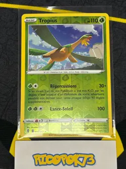 Carte Pokemon Au Choix - EVOLUTION CELESTE EB7 - Commune / Reverse / Holo - FR - Image 4