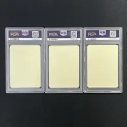 PSA 10 Pokemon Card Spring Sticker Let's Have Fun 2020 2021 2022 Japanese - Image 2