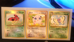 Nintendo Pokemon Japanese Rainbow Island Field of Flowers Set 4935228983797 - Image 1