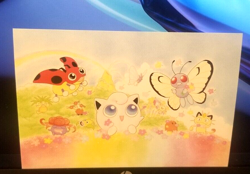 Nintendo Pokemon Japanese Rainbow Island Field of Flowers Set 4935228983797 - Image 3