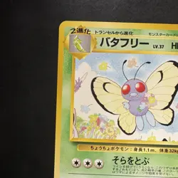 Pokemon Vintage Southern Islands Butterfree Japanese Rare Promo - Image 3