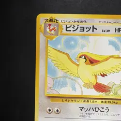 Pokemon Vintage Japanese Southern Islands Pidgeot Rare Promo - Image 3