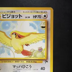 Pokemon Vintage Japanese Southern Islands Pidgeot Rare Promo - Image 4