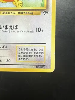 Pokemon Vintage Japanese Southern Islands Raticate Rare Promo Old Back - Image 5