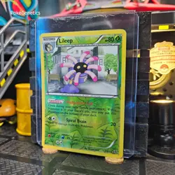 Lileep Plasma Blast Reverse Holo Pokemon TCG 3/101 Black & White 10 Uncommon - Image 2