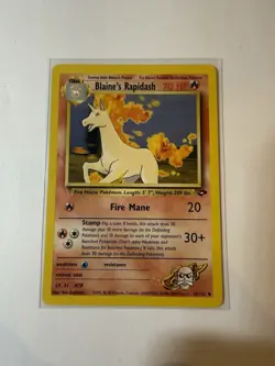 Pokemon TCG Gym Challenge Bundle Lt. Surge’s Rattata Venonat & Rapidash - Image 4