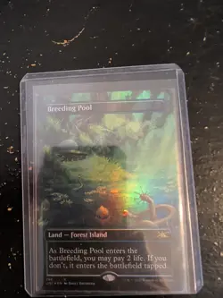 Magic the Gathering - Breeding Pool (Foil,Borderless) - Unfinity - NM - Image 1