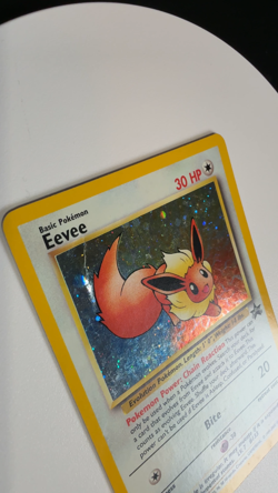 Pokemon - Eevee 11/53 - Black Star Promo Holo - WOTC - Image 2