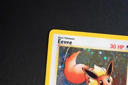 Pokemon - Eevee 11/53 - Black Star Promo Holo - WOTC - Image 3
