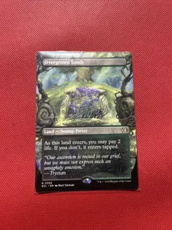 Overgrown Tomb (Borderless) Lorwyn Eclipsed Regular - Image 1