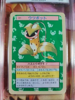 Pokemon Card Sarzenia Victreebel Topsun Blue Back 1995 Bandai Japanese PGS PSA 9 - Image 3