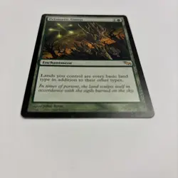 Prismatic Omen LP Shadowmoor 126 / 301 MTG English Regular Every Basic Land Type - Image 2