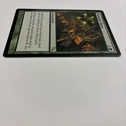 Prismatic Omen LP Shadowmoor 126 / 301 MTG English Regular Every Basic Land Type - Image 3