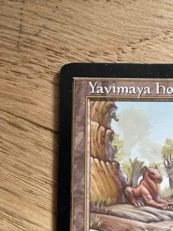 Yavimaya Hollow Urza's Destiny Regular - Excellent Condition - Image 3