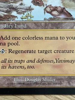 Yavimaya Hollow Urza's Destiny Regular - Excellent Condition - Image 4