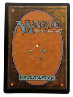 MTG Tom Bombadil (Borderless Poster Foil) | UB: the Lord of the Rings NM - Image 2