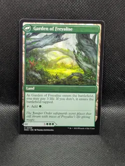 Disciple of Freyalise - 250 - U - Magic the Gathering Modern Horizons 3 Regular - Image 2
