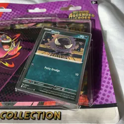 ✅Fast Shipping✅SEALED Pokemon TCG: Ascended Heroes Blister Set of 2 - Image 4
