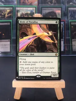 Birds of Paradise - Mystery Booster - NearMint - Magic MTG Card - Rare Creature - Image 1