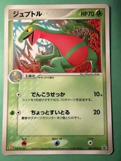 Japanese - Promo - Grovyle - 081/PCG-P - Glossy - Pokemon Card - McDonald's - Image 1