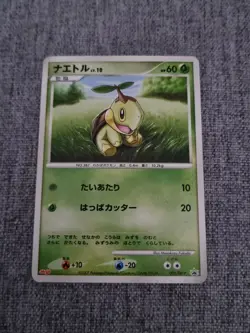 Japanese Turtwig 005/DP-P Meiji Chocolate Promo Pokemon Card Blackstar 2007 - Image 1