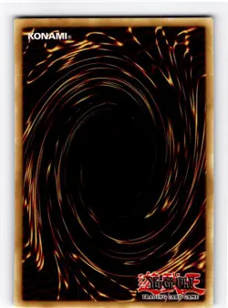 Yu-Gi-Oh 1st edition Paladin of Dark Dragon (Green) Ultra Rare #DLCS-EN069 - Image 2