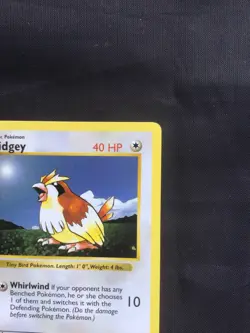 Pokemon Cards: Base Set 1st Edition Common: Pidgey 57/102 - Image 3