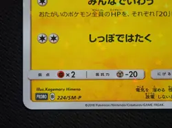 PIKACHU 224/SM-P 224 POKEMON CENTER 20TH ANNIVERSARY JAPANESE PROMO CARD BOUQUET - Image 4