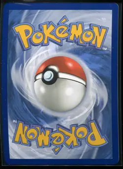 Squawkabilly ex - 169/193 - Sv02: Paldea Evolved - Holo - Pokemon TCG NM - Image 2