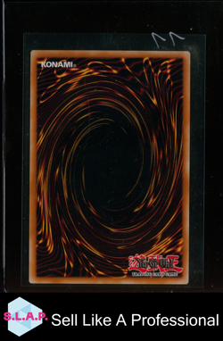 DUNKLER MAGIER DER MAGIER DER SCHWARZEN MAGIE YUGIOH! DE006 2024 INFO 1. ED DE - Image 2