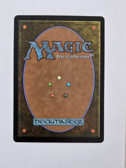 Collective Inferno - M0387 Foil (Showcase) - Lorwyn Eclipsed - MTG - NM - Image 2