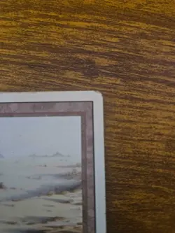 Badlands (Revised Edition) MTG/Magic: The Gathering | Lightly Played [LP] - Image 2