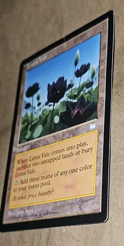 EvezBeadz Lotus Vale MTG Land Card 1996 Weatherlight John Avon Rare Magic - Image 4