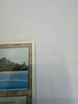 Magic the Gathering: MTG: Revised: Tropical Island Dual Land LP - See Descript. - Image 4