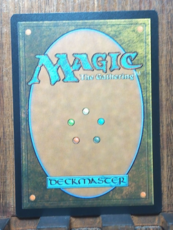 MTG🔥✨ Swooping Pteranodon ( FOIL Borderless ) Jurassic World NEAR MINT💕❤ - Image 3