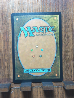 MTG🔥✨ Swooping Pteranodon ( FOIL Borderless ) Jurassic World NEAR MINT💕❤ - Image 4