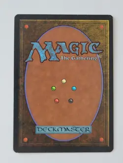 MTG Land Equilibrium (English) Legends NM Rare - Image 2