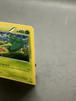 Pokemon TCG Treecko Card McDonald's Promo 2014, 1/12 Holo - Image 3
