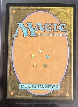 Seedguide Ash [Lorwyn] Magic MTG - Image 2